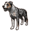 Merle Paddock Hound icon